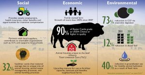 Sustainable Beef Infographic